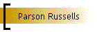 Parson Russells